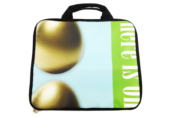 Baking Steel Carrying Case