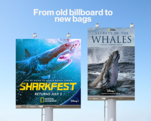 National Geographic Sharkfest and Whales Billboard