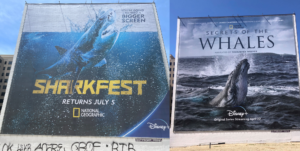 National Geographic Sharkfest and Secret Life of Whales Billboard